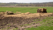 3WinterHay_ph