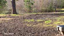 3_Mud_ph