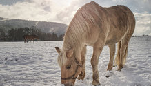 3_iStock-1090405992_ph