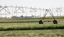 3irrigation_ph