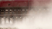 3seeding_009_ph