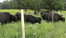 8-Coin-DSC02910-web