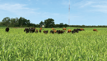 8-IMG_1541-web