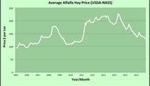 AlfHayPrice