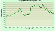 AlfHayPrice_ph