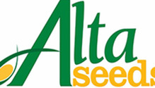 AltaSeeds