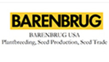 Barenbrug