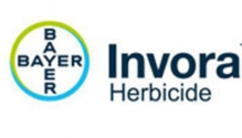 Bayer-Inova-logo