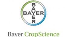 Bayer_crop