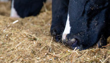 ButlerCoDairy_MR_22-web
