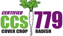 CCS-Radish