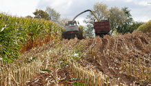 CS_harvest_001-web