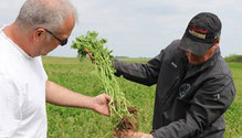 Cover-crop-image1