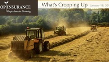 Crop_insurance-banner