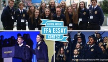 Culvers-essay