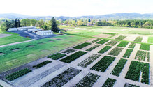 DLF_Philomath-OR