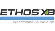 Ethos