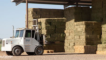 FebFirstCut_StackedBales