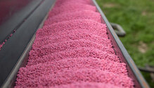 ForageSeedOutlook_ALT
