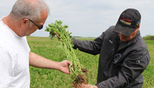 Go-Seed-Cover-crop-pic