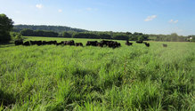 Grasslands-Partnership-edit
