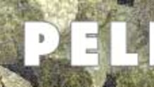 HAYPELLETS-600