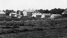 HFG-1508_24-field