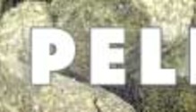 Hay-pellets-410