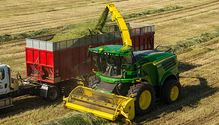JD-active-fill