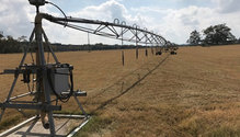 Krohn-irrigation