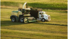 Krone-BiG480