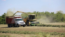Krone-bigx-in-field