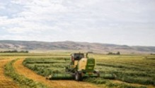 Krone-mower