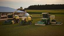 Krone