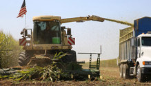 Krone_image