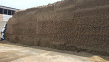 Lallemand-silage-face