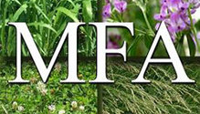 MFA_new