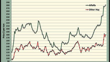 MonthGraph-9.47.00-AM_ph