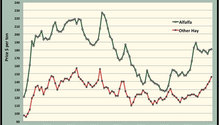 MonthGraph_ph