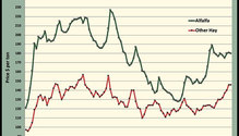 MonthGraph_ph