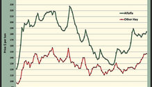 MonthGraph_ph