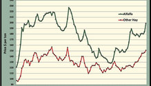 MonthGraph_ph