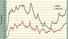MonthGraph_ph