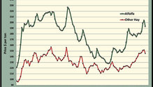 MonthGraph_ph