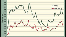 MonthGraph_ph