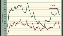 MonthGraph_ph