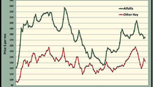 MonthGraph_ph