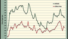 MonthGraph_ph