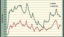MonthGraph_ph