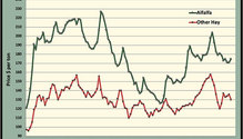 MonthGraph_ph